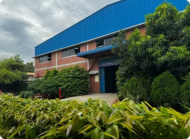 SF Washing Ltd.
